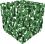 Spruce Leaves — Minecraft block